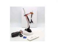O LIGHT CURING WOODPECKER